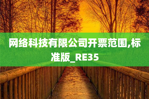 网络科技有限公司开票范围,标准版_RE35