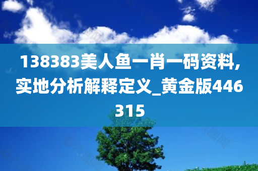 138383美人鱼一肖一码资料,实地分析解释定义_黄金版446315