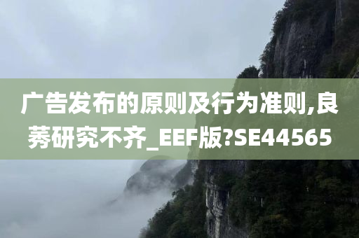 广告发布的原则及行为准则,良莠研究不齐_EEF版?SE44565