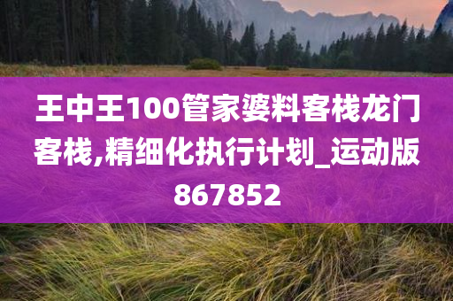 王中王100管家婆料客栈龙门客栈,精细化执行计划_运动版867852