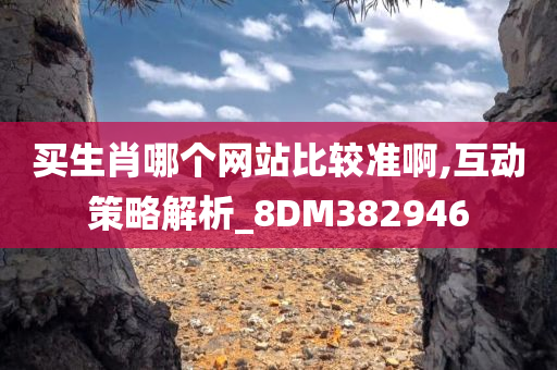 买生肖哪个网站比较准啊,互动策略解析_8DM382946