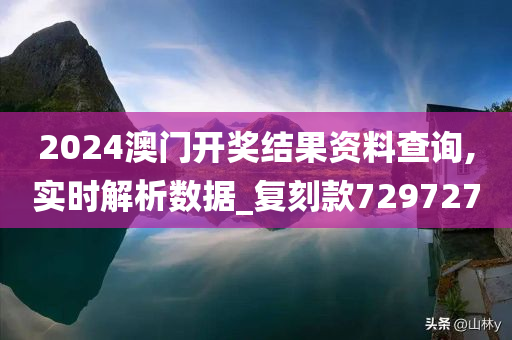 2024澳门开奖结果资料查询,实时解析数据_复刻款729727