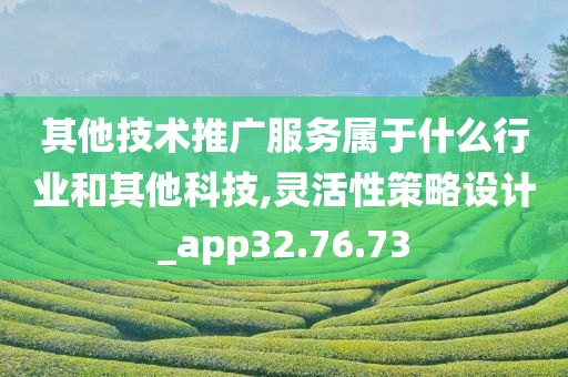 其他技术推广服务属于什么行业和其他科技,灵活性策略设计_app32.76.73