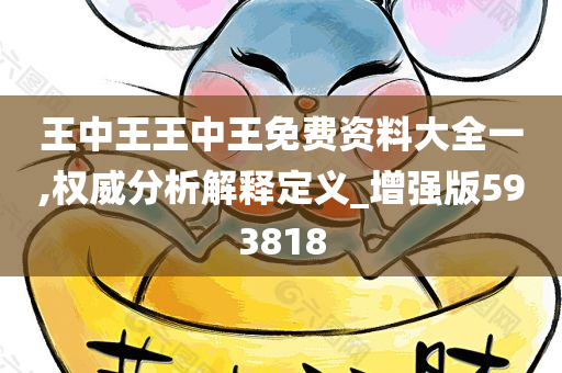 王中王王中王免费资料大全一,权威分析解释定义_增强版593818