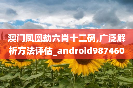 澳门凤凰劫六肖十二码,广泛解析方法评估_android987460