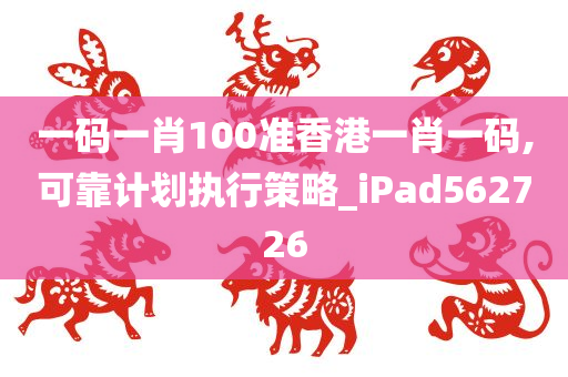 一码一肖100准香港一肖一码,可靠计划执行策略_iPad562726