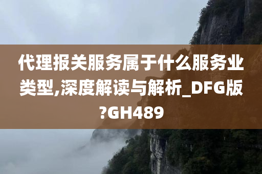 代理报关服务属于什么服务业类型,深度解读与解析_DFG版?GH489