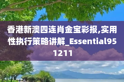 香港新澳四连肖金宝彩报,实用性执行策略讲解_Essential951211