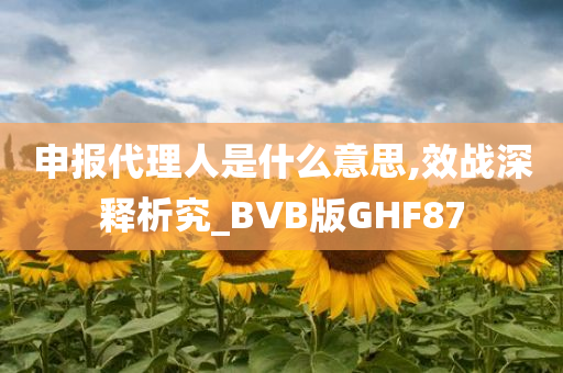 申报代理人是什么意思,效战深释析究_BVB版GHF87