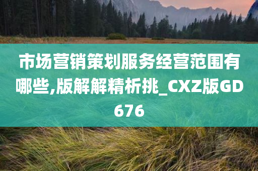 市场营销策划服务经营范围有哪些,版解解精析挑_CXZ版GD676