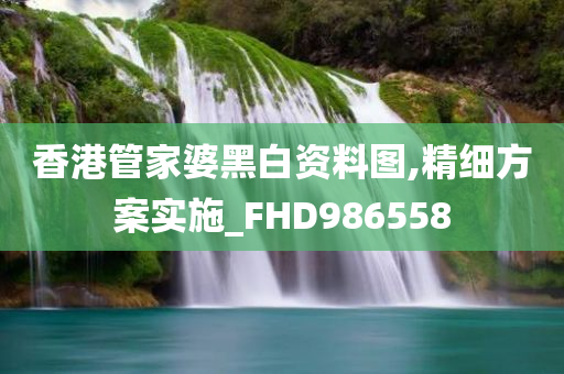 香港管家婆黑白资料图,精细方案实施_FHD986558