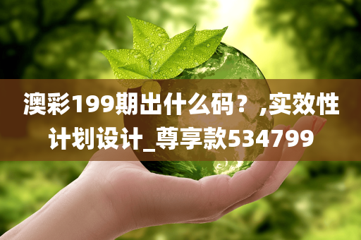 澳彩199期出什么码？,实效性计划设计_尊享款534799