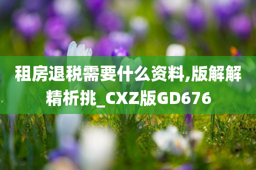 租房退税需要什么资料,版解解精析挑_CXZ版GD676