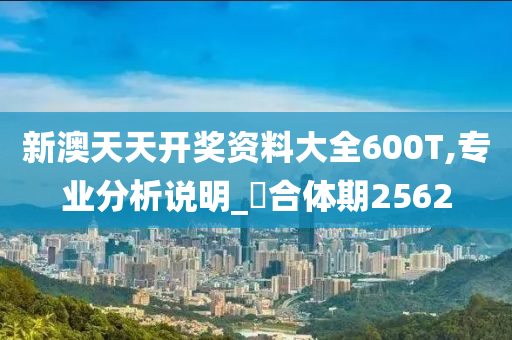 新澳天天开奖资料大全600T,专业分析说明_‌合体期2562