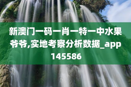 新澳门一码一肖一特一中水果爷爷,实地考察分析数据_app145586