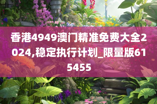 香港4949澳门精准免费大全2024,稳定执行计划_限量版615455