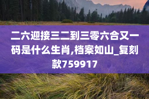 二六迎接三二到三零六合又一码是什么生肖,档案如山_复刻款759917