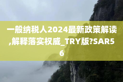 一般纳税人2024最新政策解读,解释落实权威_TRY版?SAR56