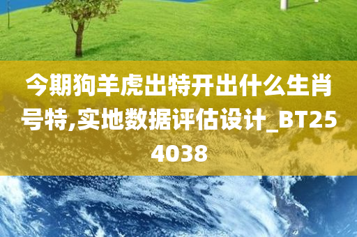 今期狗羊虎出特开出什么生肖号特,实地数据评估设计_BT254038