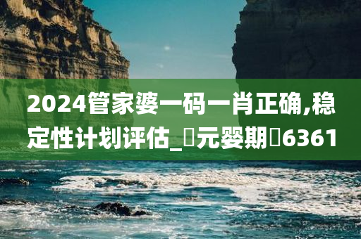 2024管家婆一码一肖正确,稳定性计划评估_‌元婴期‌6361