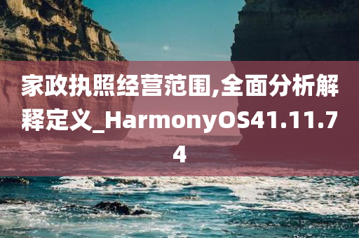 家政执照经营范围,全面分析解释定义_HarmonyOS41.11.74