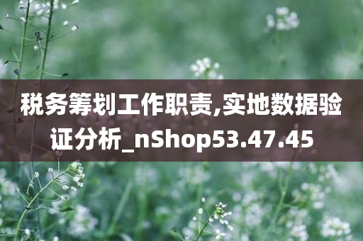 税务筹划工作职责,实地数据验证分析_nShop53.47.45