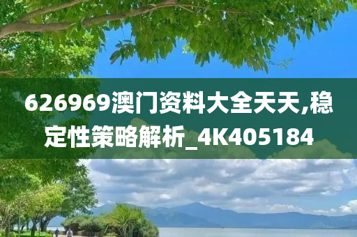 626969澳门资料大全天天,稳定性策略解析_4K405184