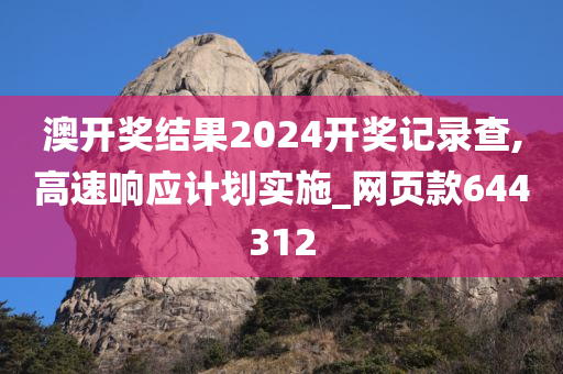 澳开奖结果2024开奖记录查,高速响应计划实施_网页款644312