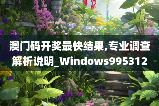 澳门码开奖最快结果,专业调查解析说明_Windows995312