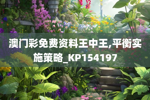 澳门彩免费资料王中王,平衡实施策略_KP154197