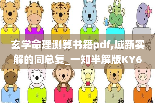 玄学命理测算书籍pdf,域新实解的同总复_一知半解版KY6