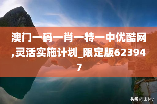 澳门一码一肖一特一中优酷网,灵活实施计划_限定版623947