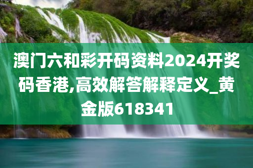 澳门六和彩开码资料2024开奖码香港,高效解答解释定义_黄金版618341