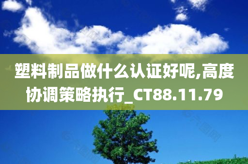 塑料制品做什么认证好呢,高度协调策略执行_CT88.11.79