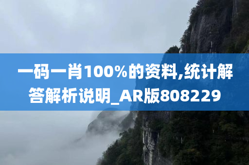 一码一肖100%的资料,统计解答解析说明_AR版808229