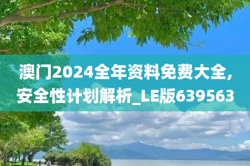 澳门2024全年资料免费大全,安全性计划解析_LE版639563