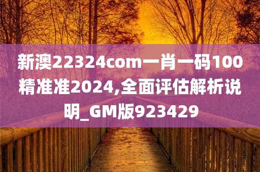 新澳22324com一肖一码100精准准2024,全面评估解析说明_GM版923429