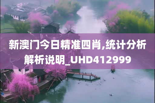 新澳门今日精准四肖,统计分析解析说明_UHD412999