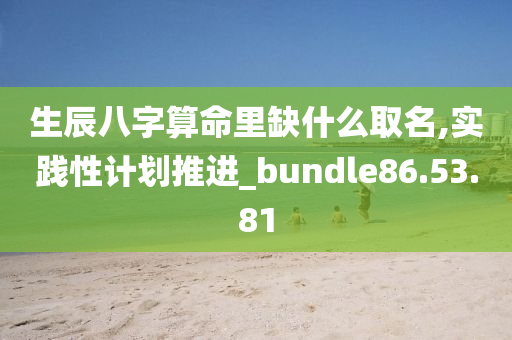 生辰八字算命里缺什么取名,实践性计划推进_bundle86.53.81