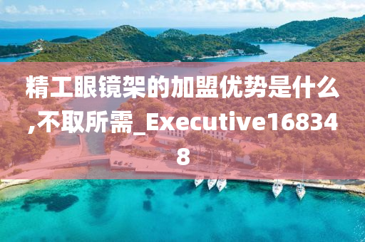 精工眼镜架的加盟优势是什么,不取所需_Executive168348