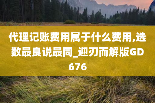 代理记账费用属于什么费用,选数最良说最同_迎刃而解版GD676