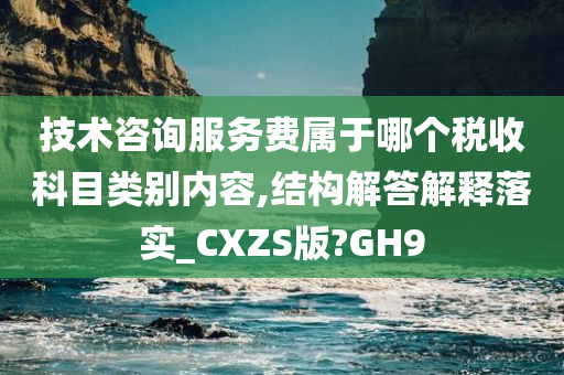 技术咨询服务费属于哪个税收科目类别内容,结构解答解释落实_CXZS版?GH9