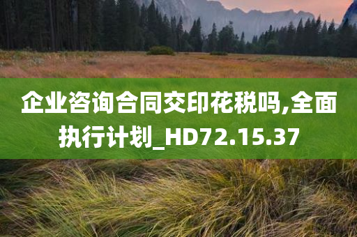 企业咨询合同交印花税吗,全面执行计划_HD72.15.37