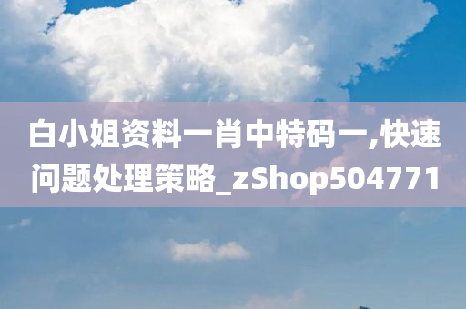 白小姐资料一肖中特码一,快速问题处理策略_zShop504771