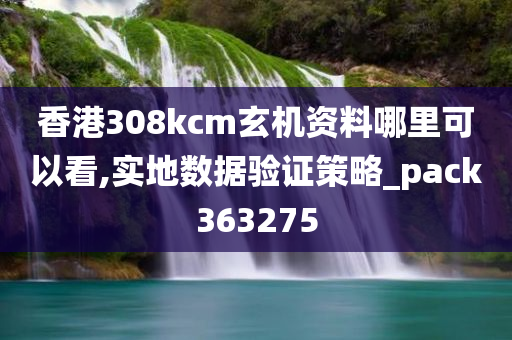 香港308kcm玄机资料哪里可以看,实地数据验证策略_pack363275