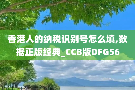 香港人的纳税识别号怎么填,数据正版经典_CCB版DFG56