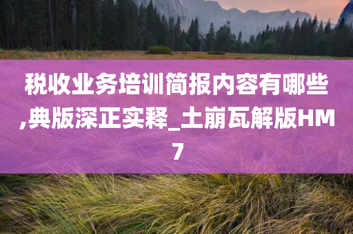 税收业务培训简报内容有哪些,典版深正实释_土崩瓦解版HM7