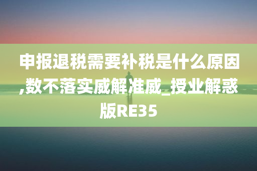 申报退税需要补税是什么原因,数不落实威解准威_授业解惑版RE35