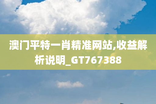 澳门平特一肖精准网站,收益解析说明_GT767388