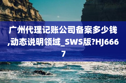 广州代理记账公司备案多少钱,动态说明领域_SWS版?HJ6667